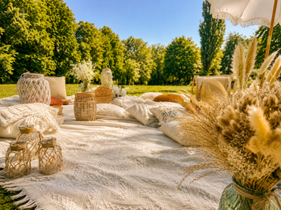 Picknicklounge mit hellen Decken, Sitzkissen und Pampasgras im Park